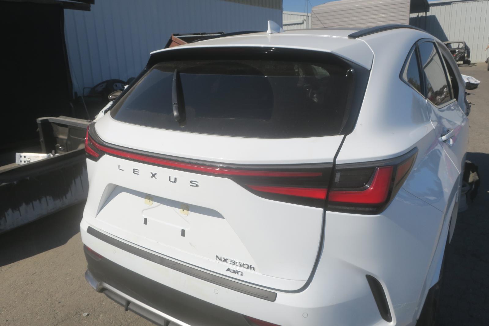 Decklid  Tailgate Hatch