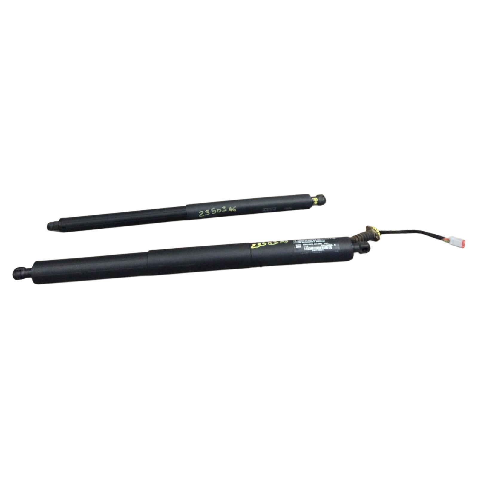 Trunk Lid Motor