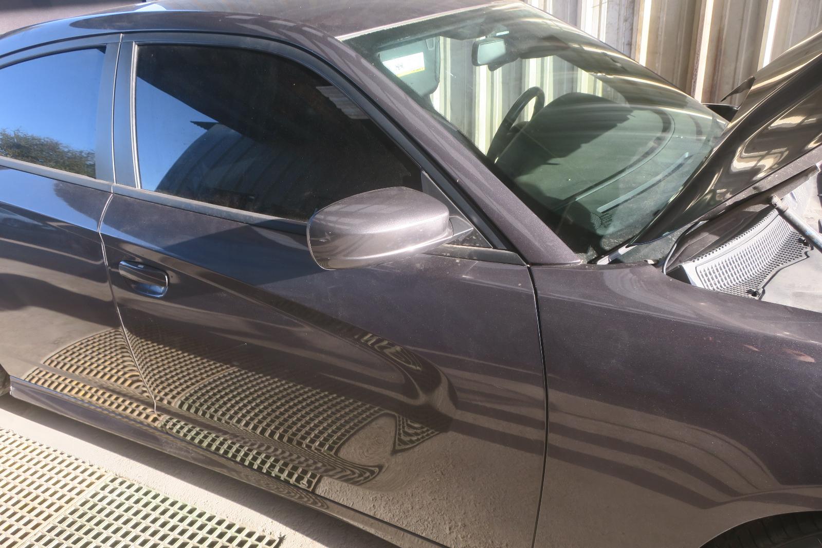 2020 Dodge Charger Front Door Assembly