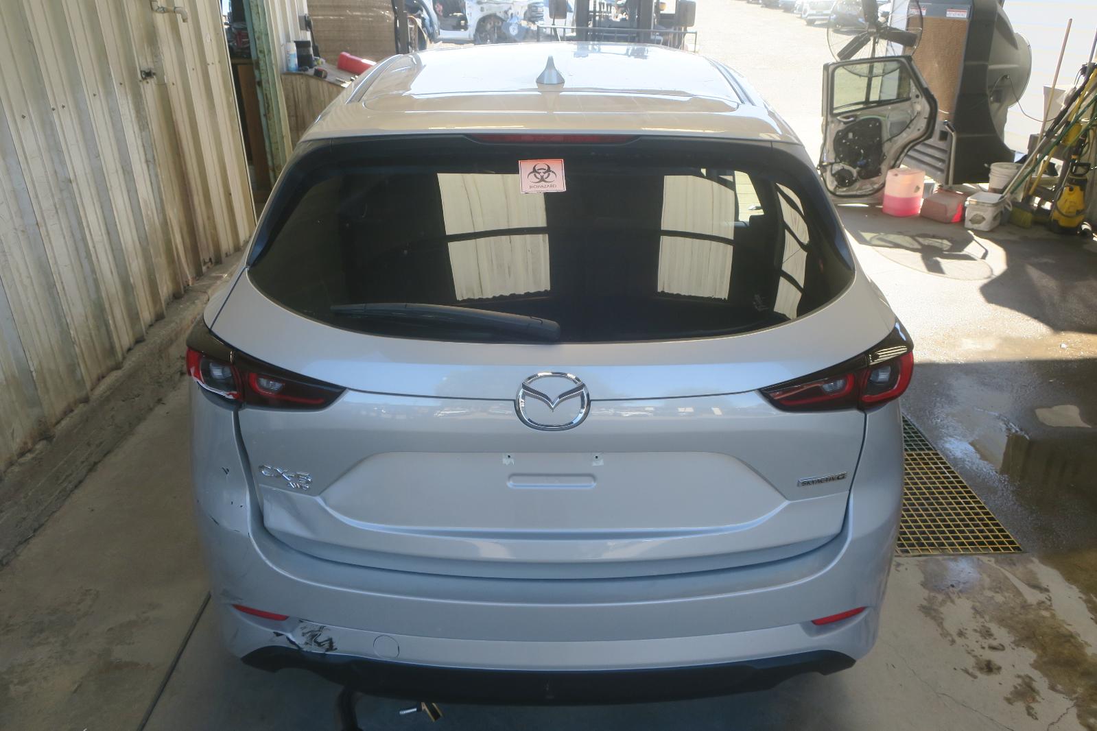 Back Glass