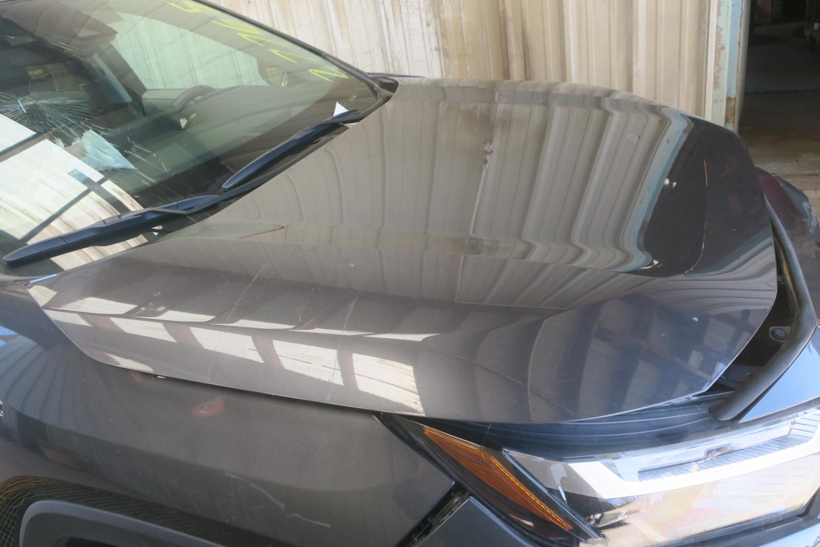 2024 Toyota Rav4 Hood