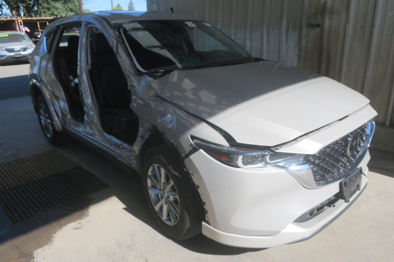 Front Bumper Assembly