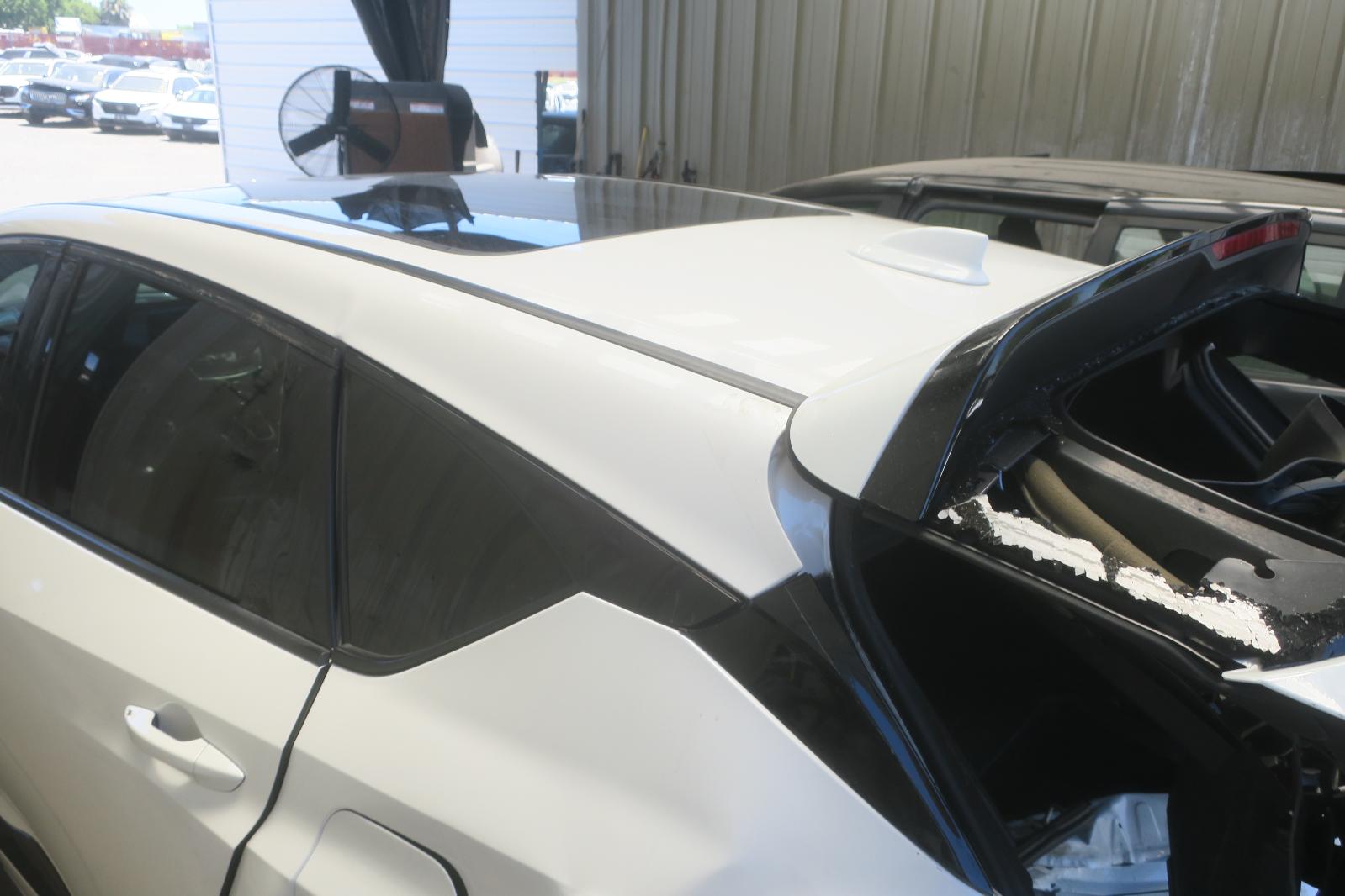 Rear Spoiler