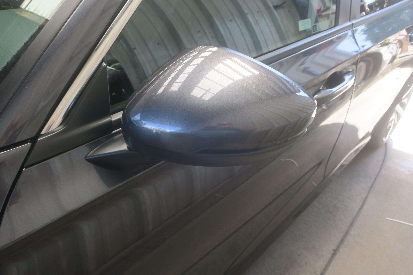 Door Mirror