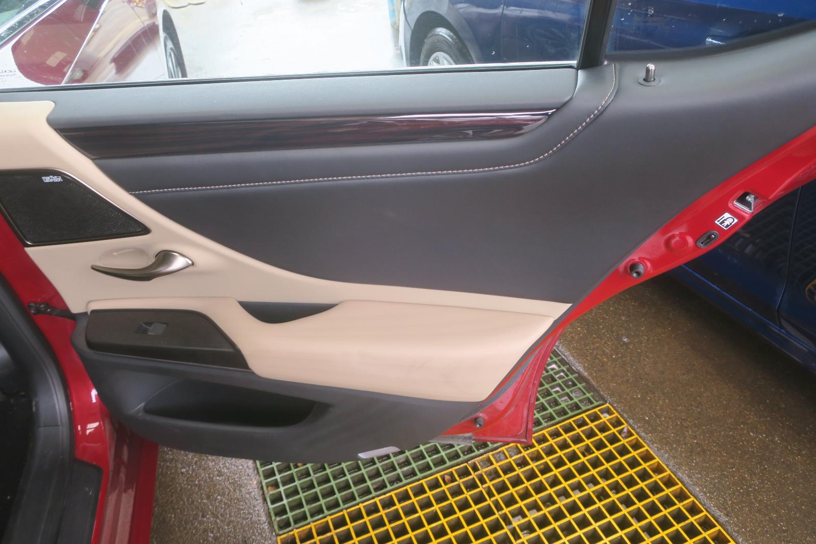 Trim Panel, Rr Dr
