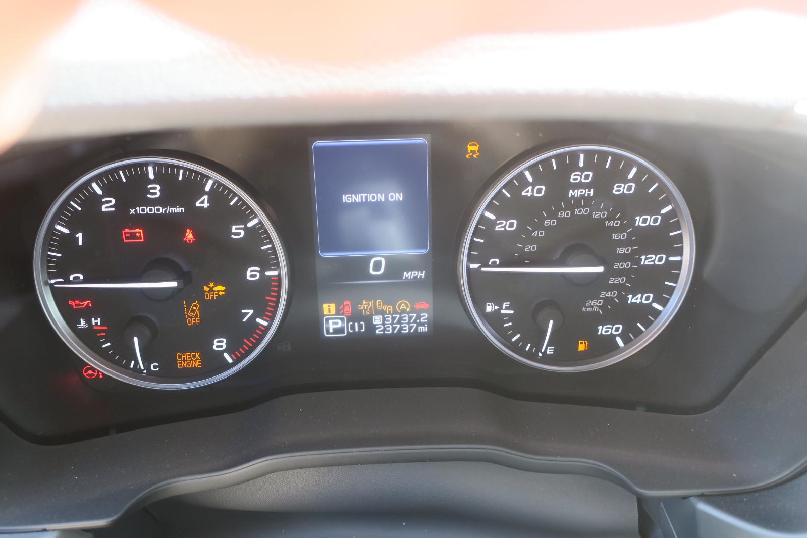 Speedo Head/Cluster