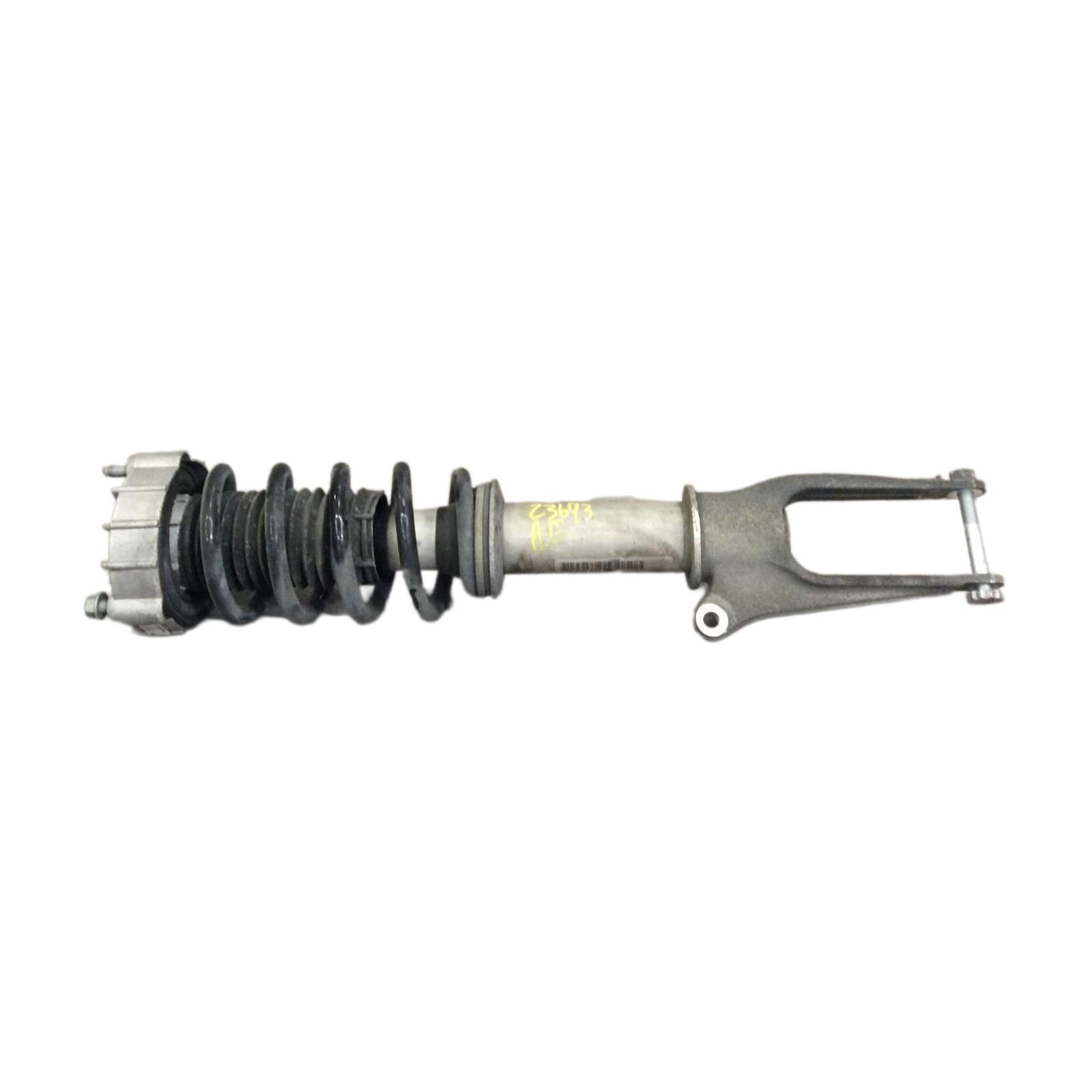 Strut Assembly