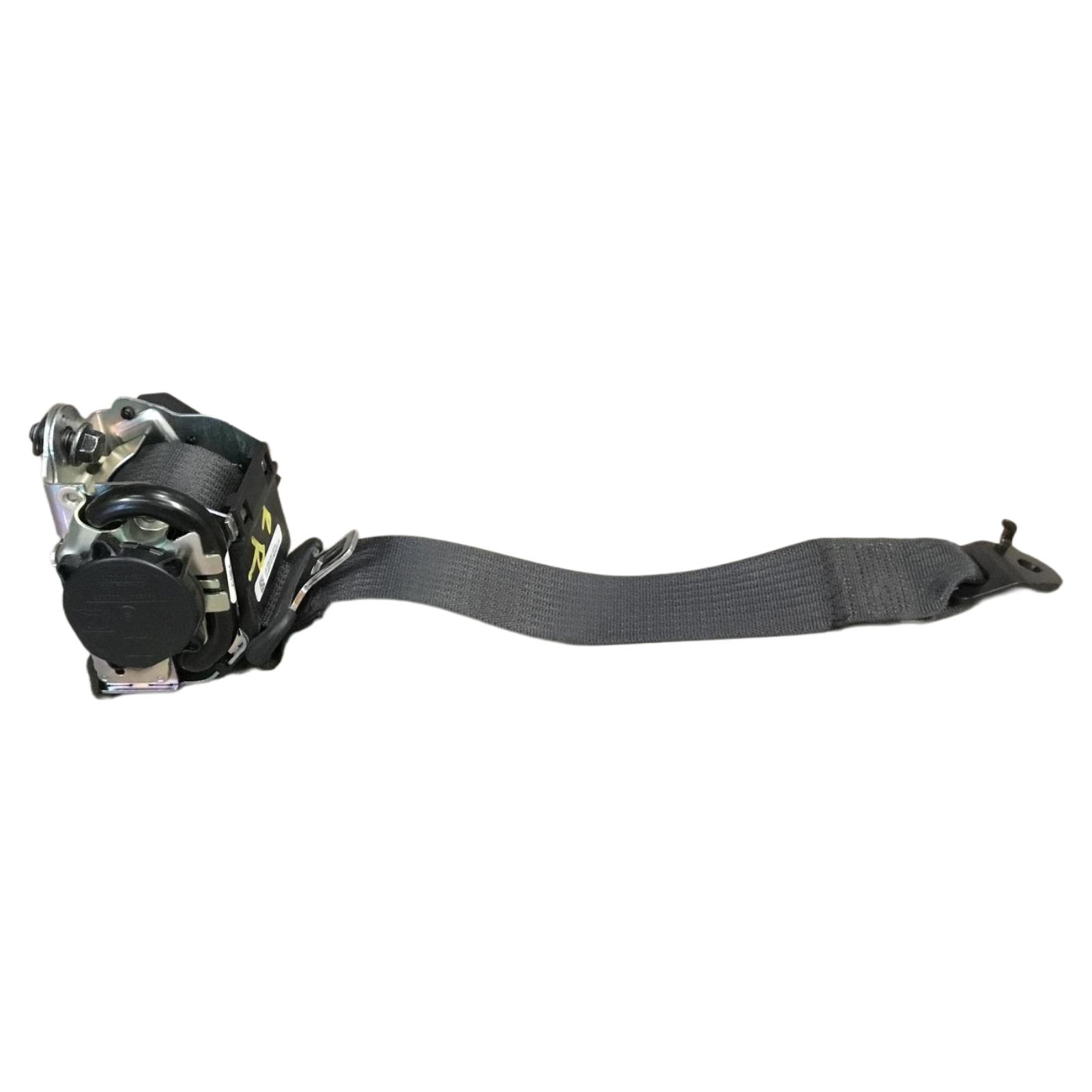Rear Seat Belt