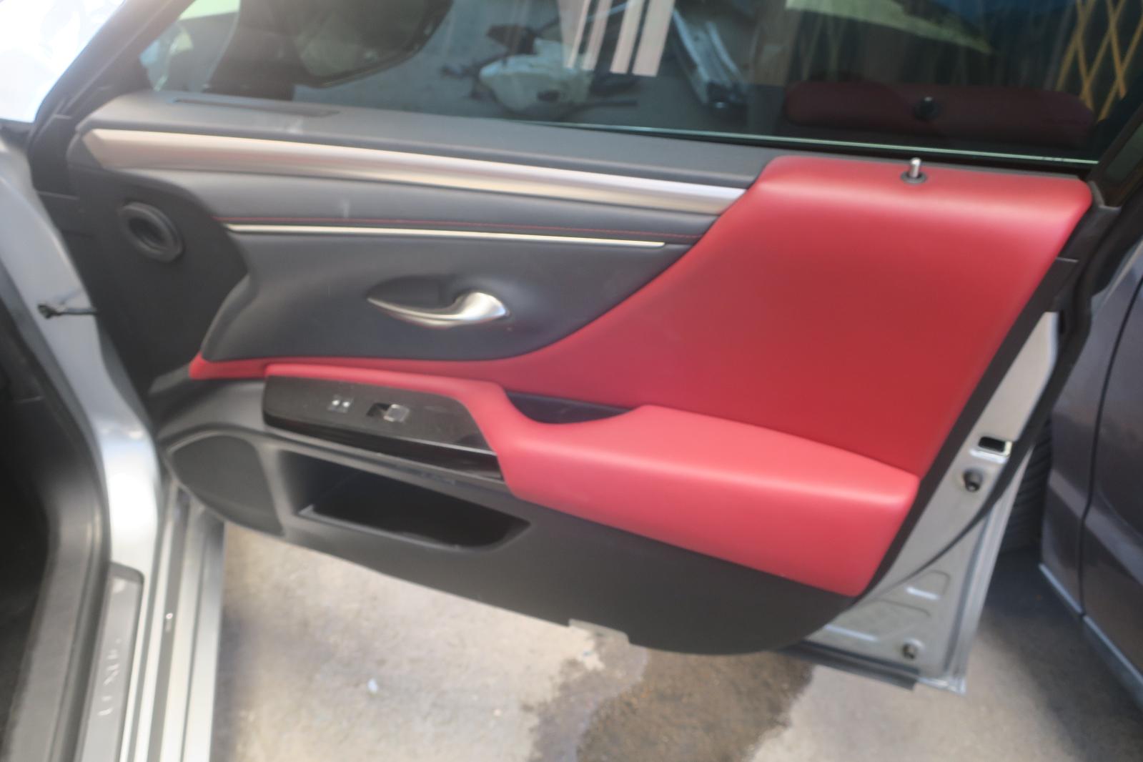 Trim Panel, Fr Dr