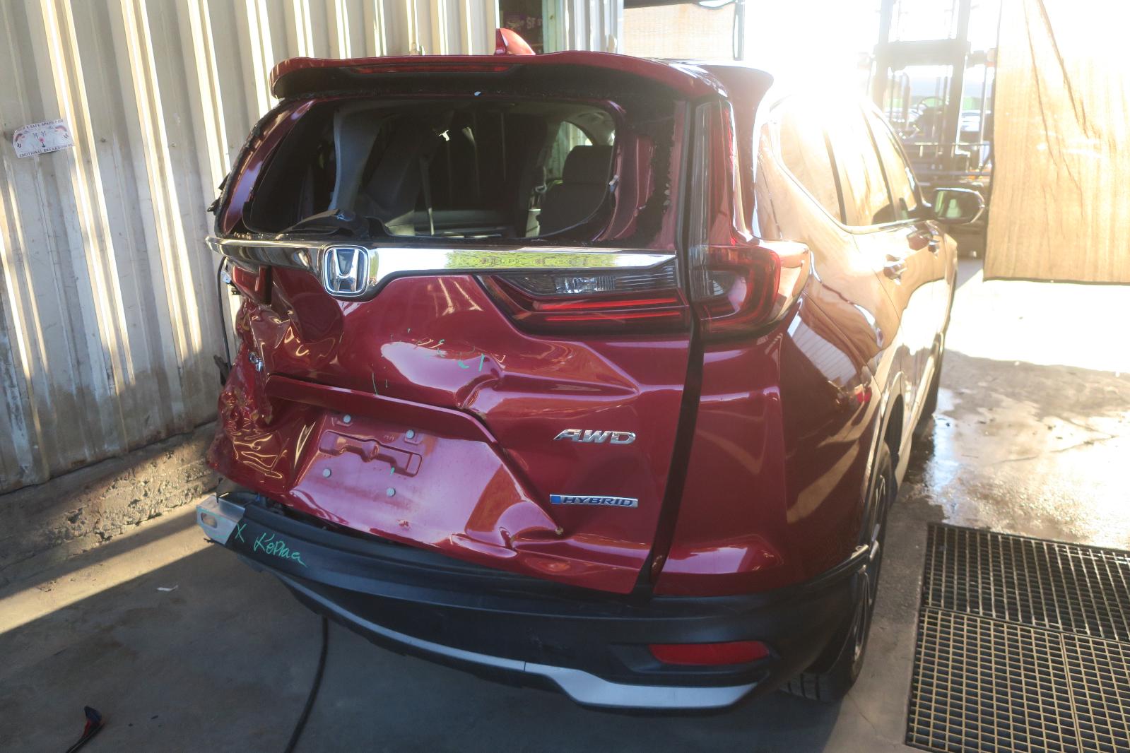 Tail Lamp