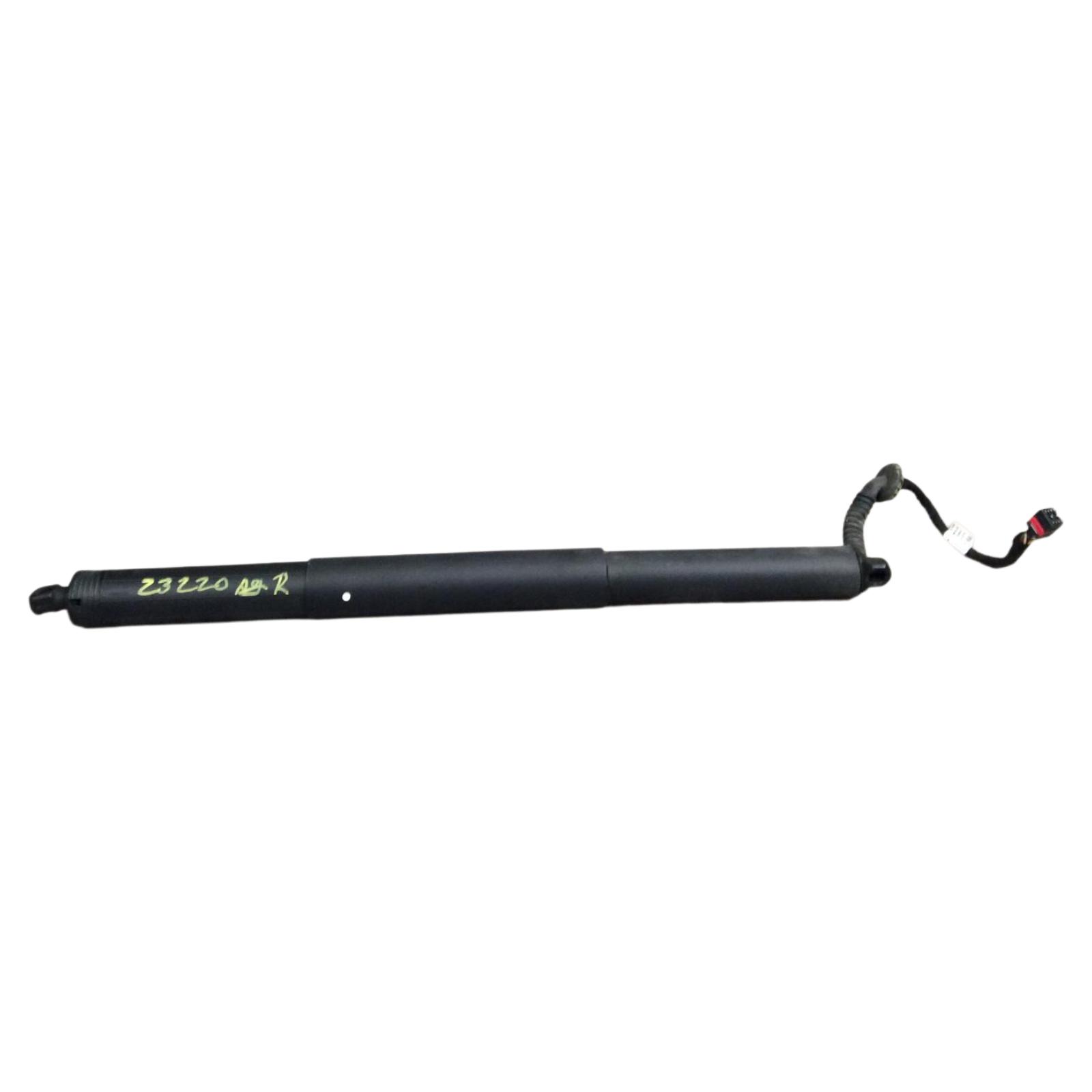 Trunk Lid Motor