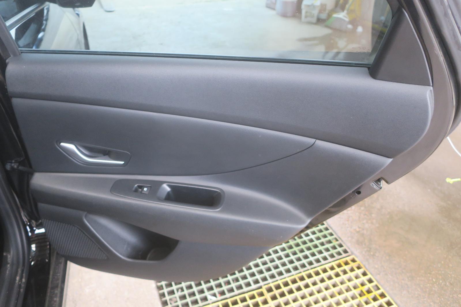 Trim Panel, Rr Dr