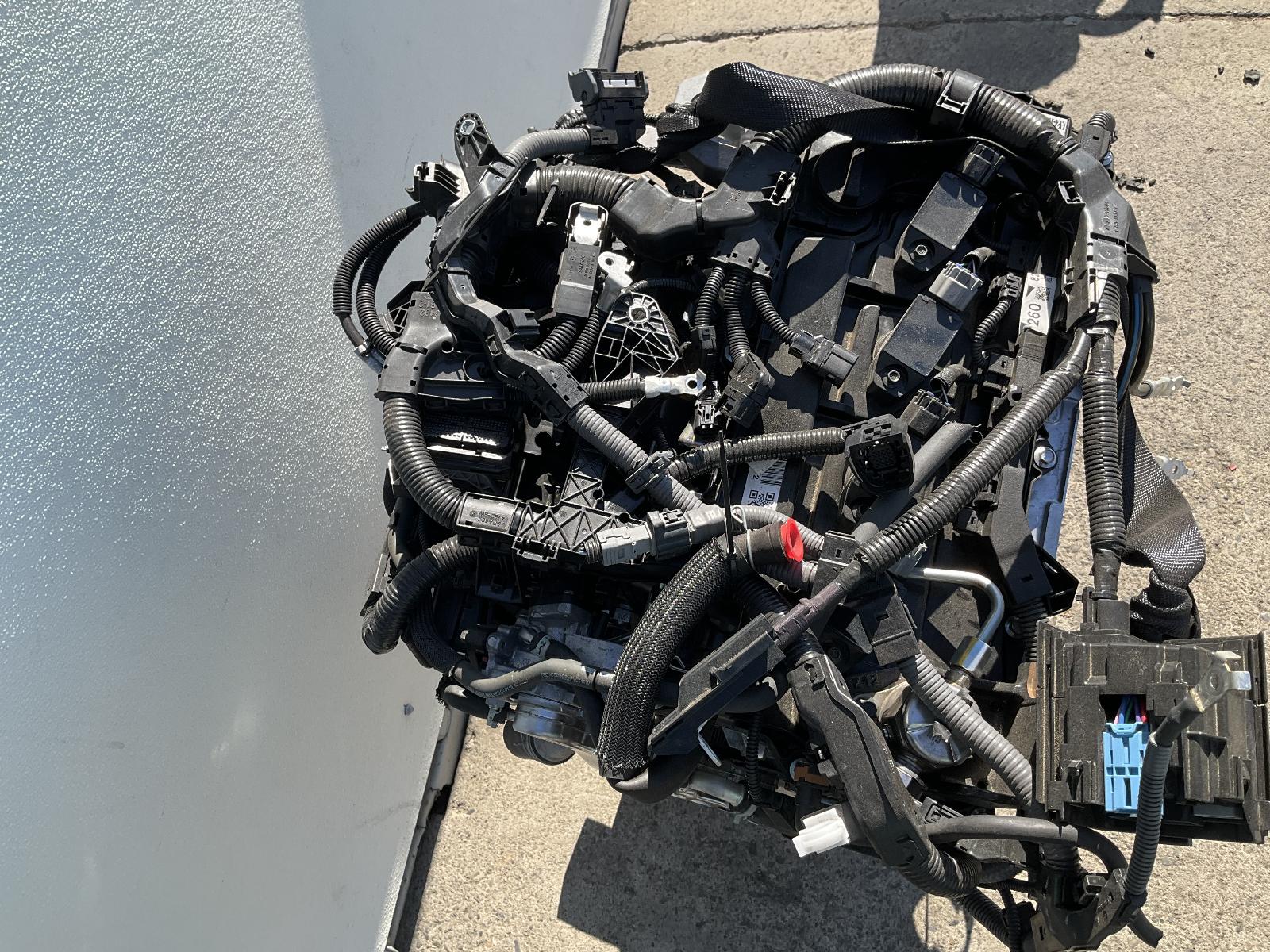 Engine Assembly
