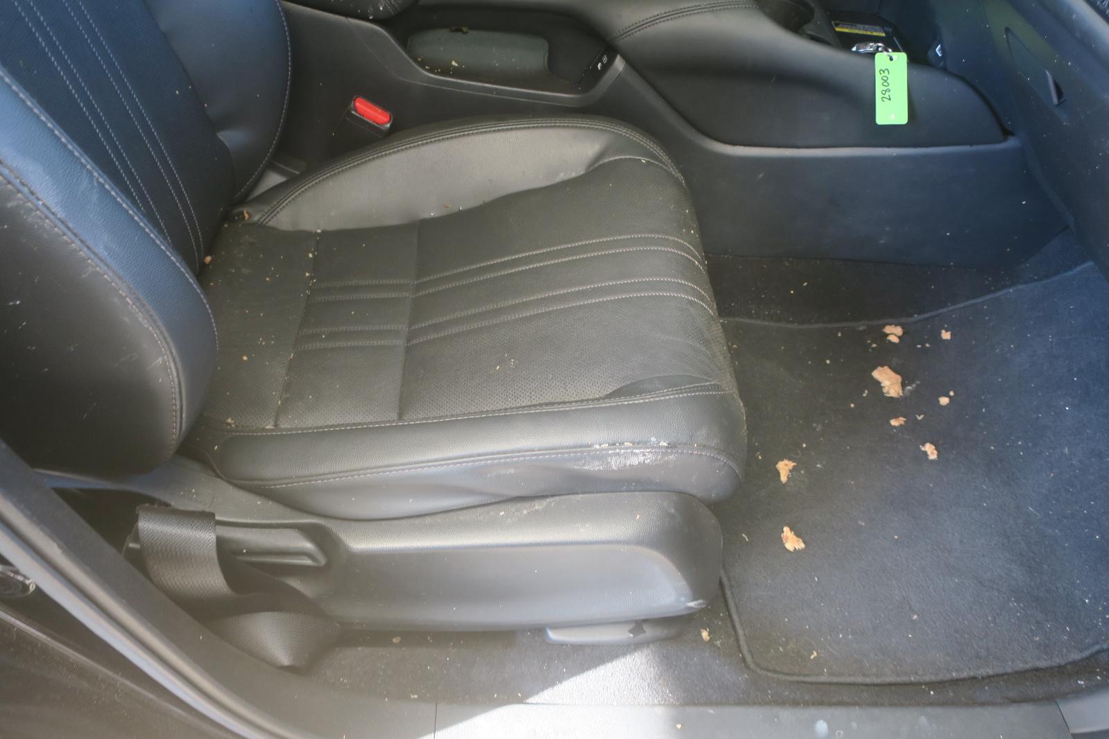 2024 Honda HR-V Front Seat