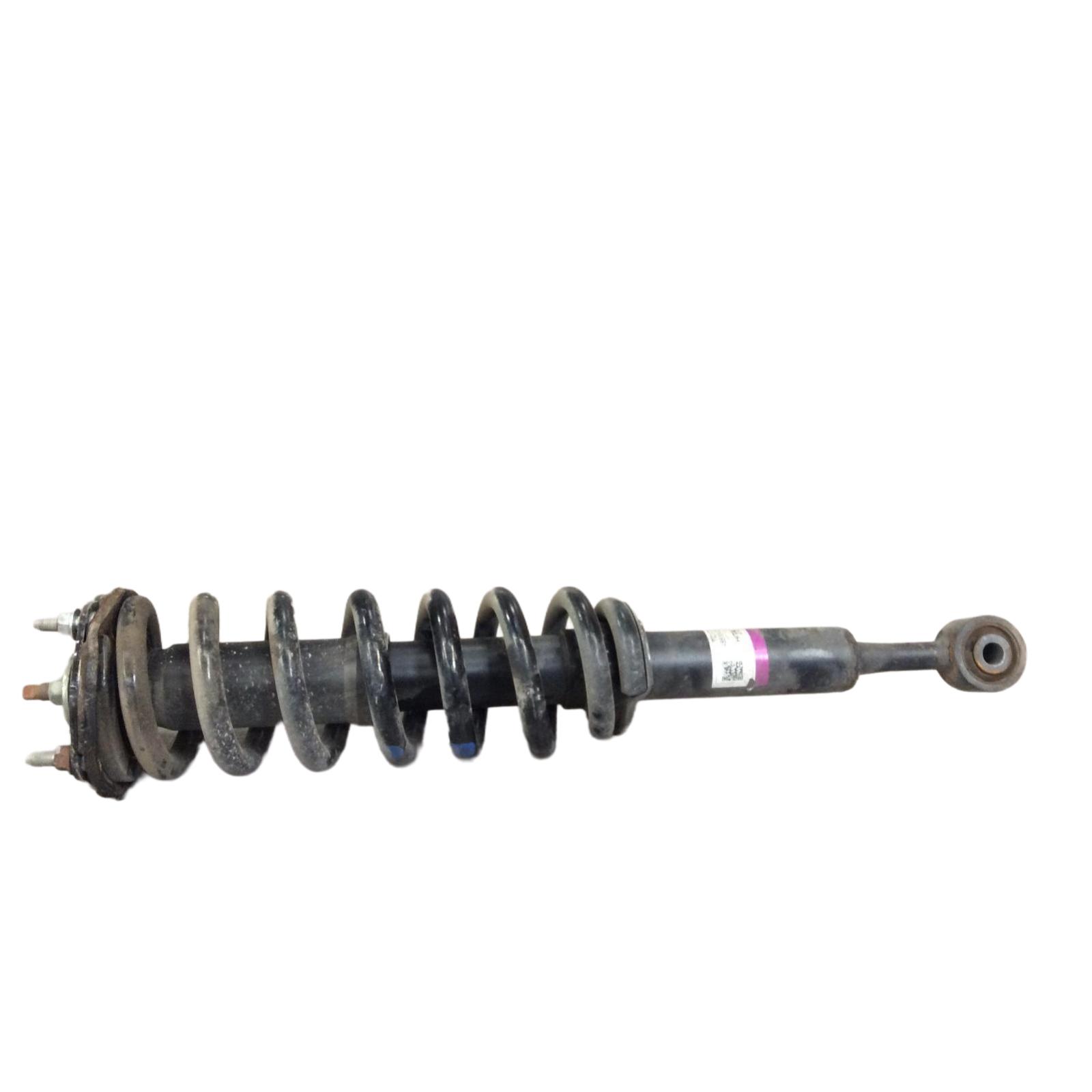 Strut Assembly