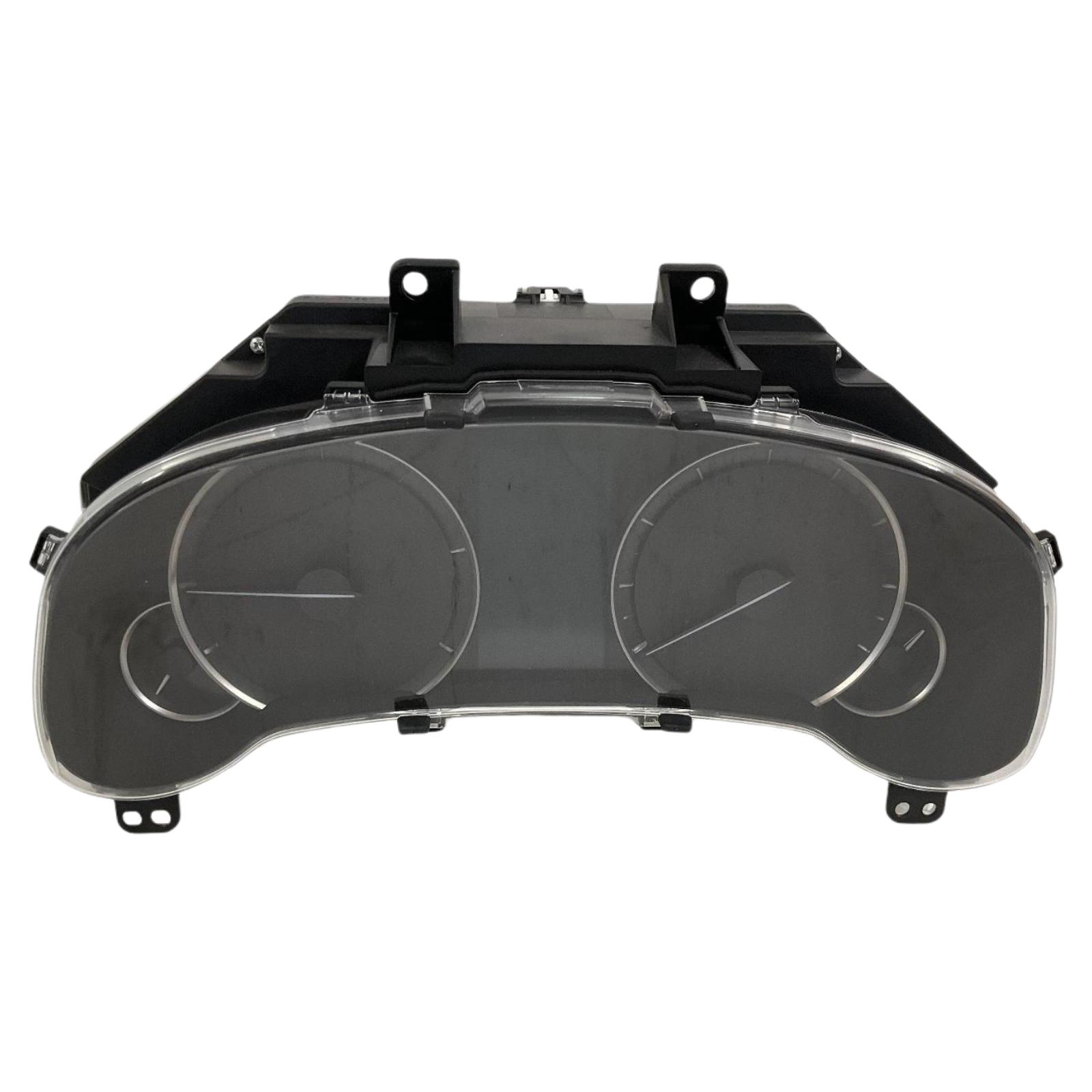 Speedo Head/Cluster