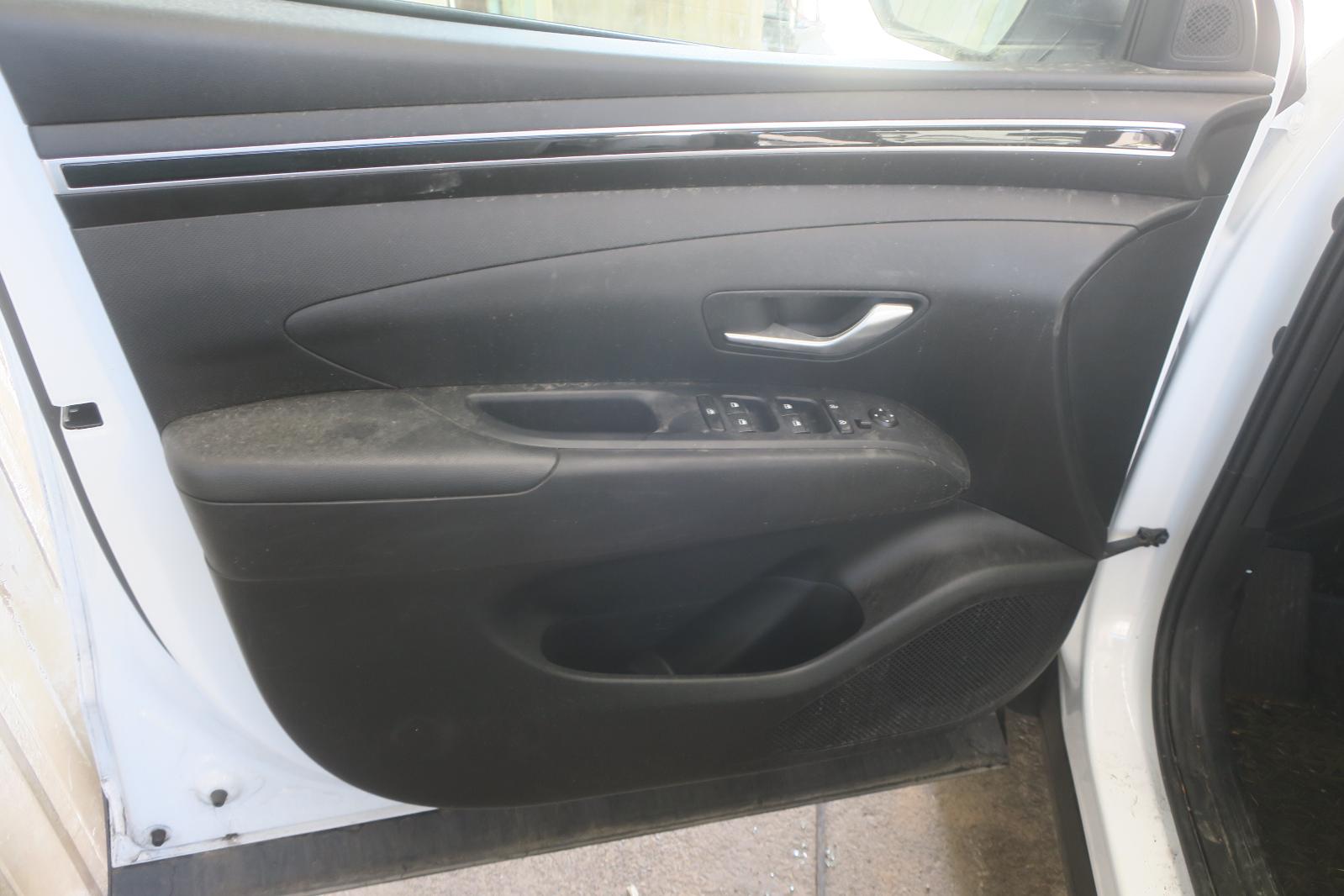 Trim Panel, Fr Dr